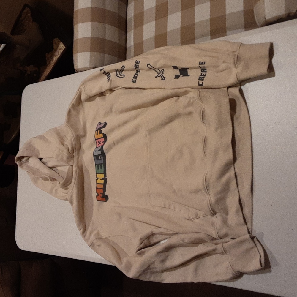 Minecraft hoodie